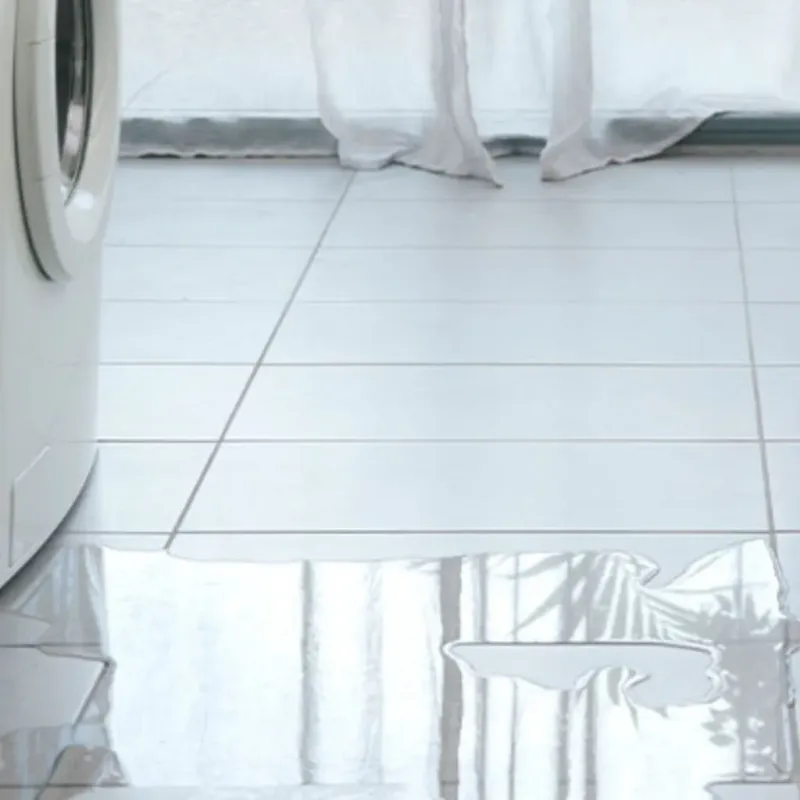 Appliance Leak Cleanup in Cleburne County, AR