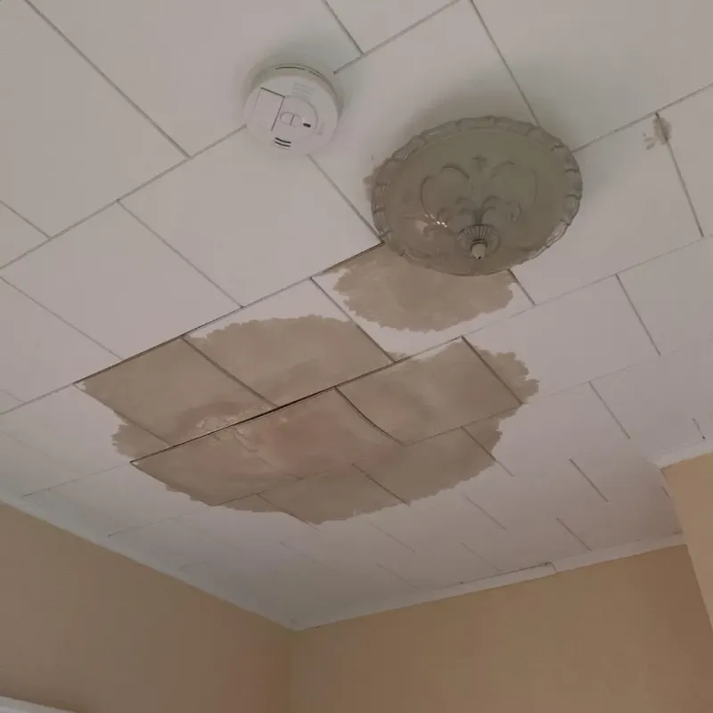 Ceiling Water Damage Repair in Cleburne County, AR