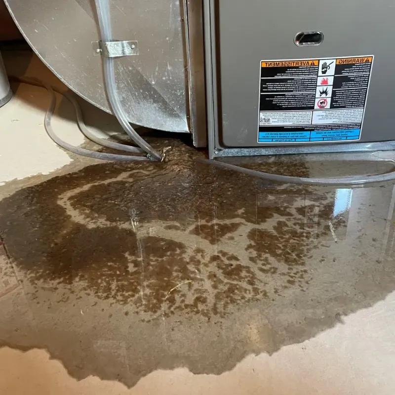 Pipe Burst and Leak Restoration in Cleburne County, AR