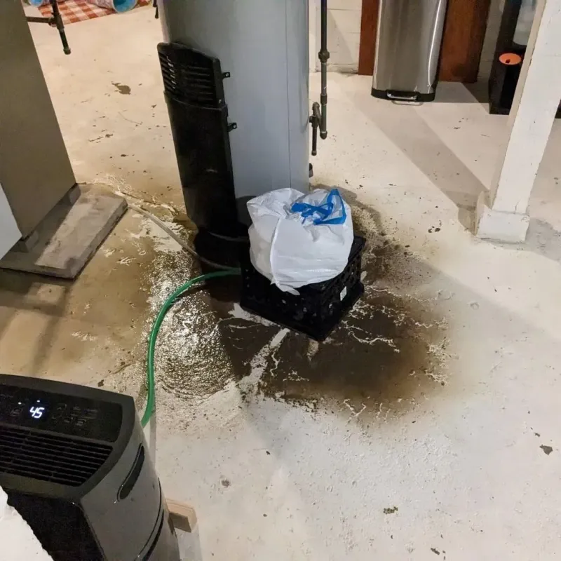 Sewage Backup Cleanup Service in Cleburne County, AR